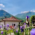 Apartment Oleandra With Garden&swimming Pool