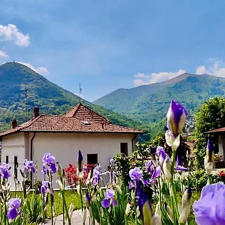 Appartement Oleandra With Garden&swimming Pool