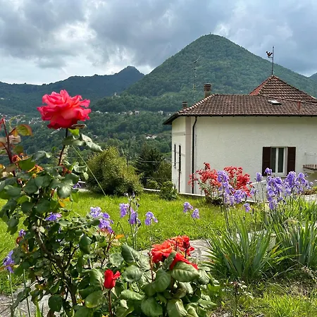 Oleandra With Garden&swimming Pool Appartement Dizzasco