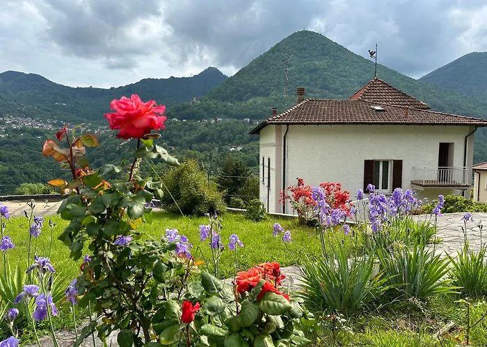 Oleandra With Garden&swimming Pool Апартаменты Dizzasco