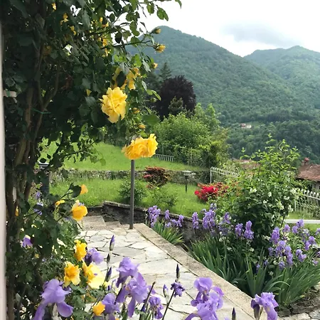 Oleandra With Garden&swimming Pool Lägenhet Dizzasco