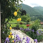 Oleandra With Garden&swimming Pool Апартаменты Dizzasco