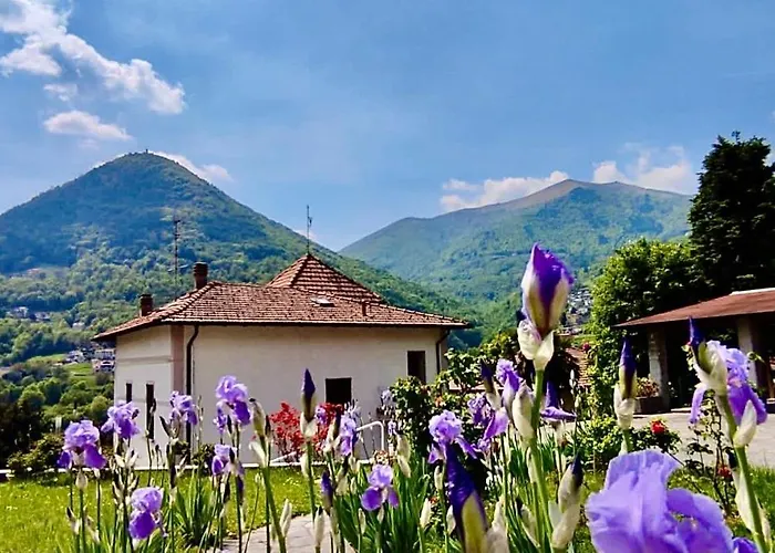 Apartamento Oleandra With Garden&swimming Pool