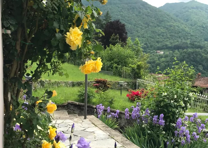 Oleandra With Garden&swimming Pool Apartamento Dizzasco